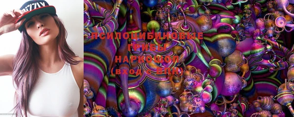 ГАЛЛЮЦИНОГЕННЫЕ ГРИБЫ Алексин